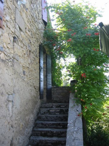 img_4496.jpg